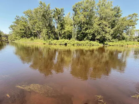 10167 W Richardson Road, Harrison MI 48625 photo 3