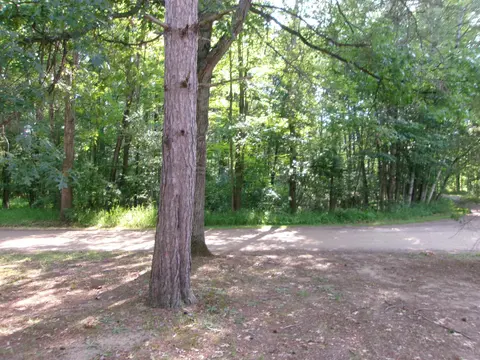 2221 Grass Lake  Unit 106 Avenue, Lake MI 48632 photo 3
