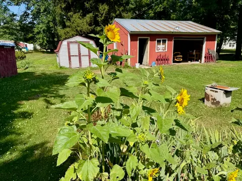 623 N Line Street, Chesaning MI 48616 photo 4