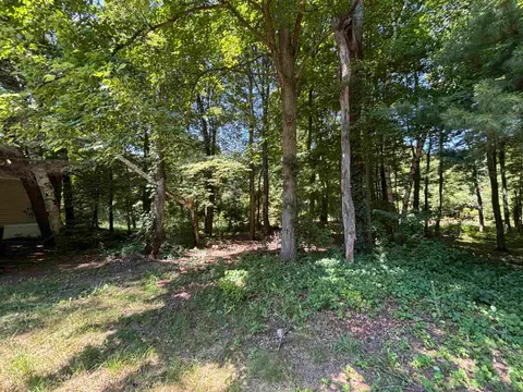 2237 Ranae Street, Croswell MI 48422 photo 3