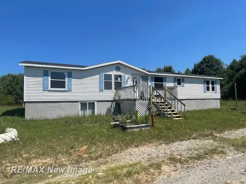 15957 W Burt Road, Chesaning MI 48616 home for sale