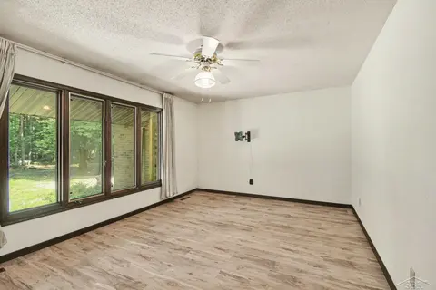 7083 S Orr Road, Saint Charles MI 48655 photo 5