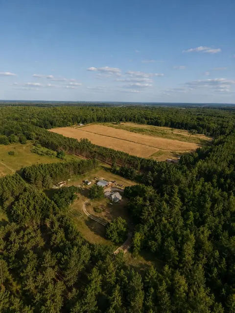 8800 N West County Line Road, Barryton MI 49305 photo 3