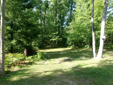 1808 Arbor Drive, Lake MI 48632 photo 4