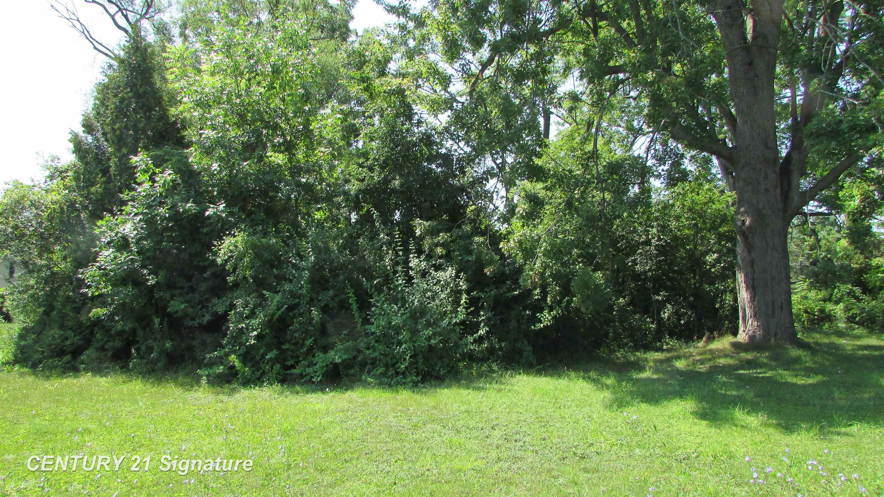 Parcel A Gratiot Road, Saginaw MI 48638 photo 1