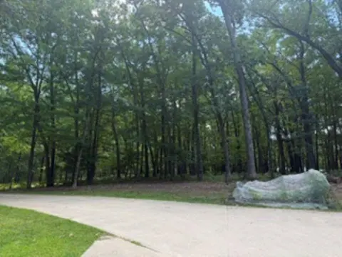4740 Oak Run Road, Farwell MI 48622 photo 4