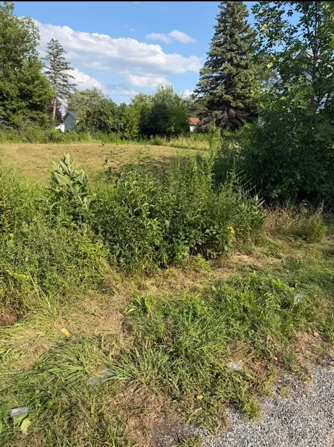 318 S 30th Street, Saginaw MI 48601 land listing for sale