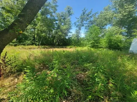 2615 Schaffer Road, Turner MI 48765 photo 2