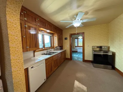 11965 King Road, Frankenmuth MI 48734 photo 4