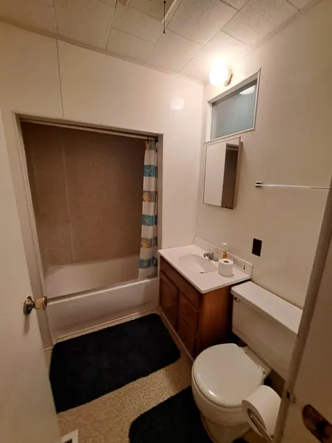 10301 N Loomis Street, Clare MI 48617 photo 4