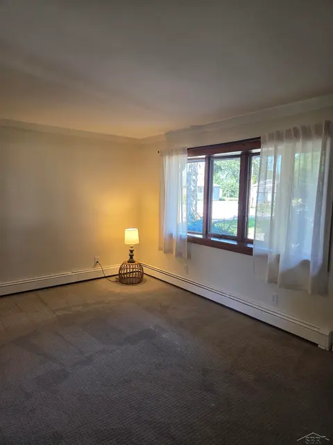 409 W Edwin Street, Linwood MI 48634 photo 4