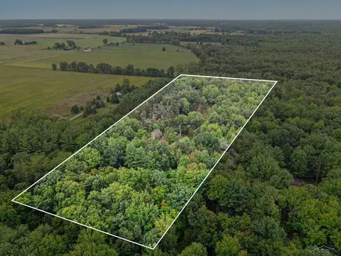 18287 Nelson Road, Saint Charles MI 48655 photo 2