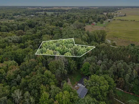 18287 Nelson Road, Saint Charles MI 48655 photo 3