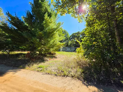 8689 Holly Street, Lake MI 48632 photo 2