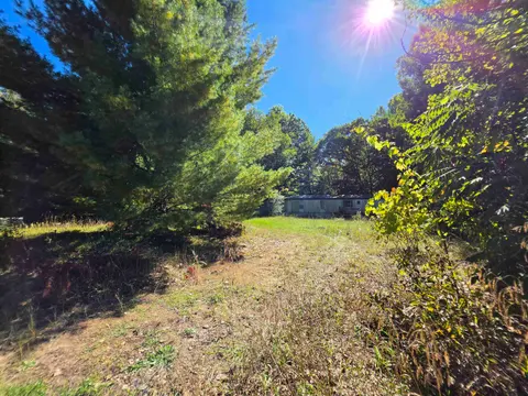 8689 Holly Street, Lake MI 48632 photo 3