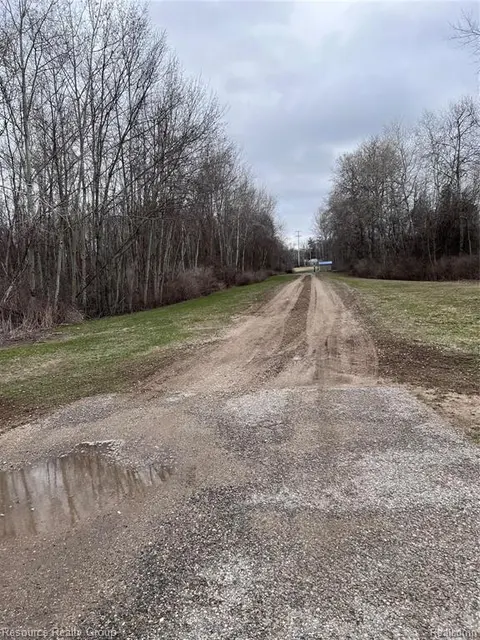 5239 N Coleman Road, Coleman MI 48618 photo 2
