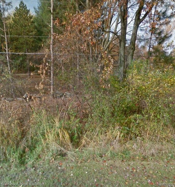 VL S Gleaner Road, Saginaw MI 48609 9709 photo 1