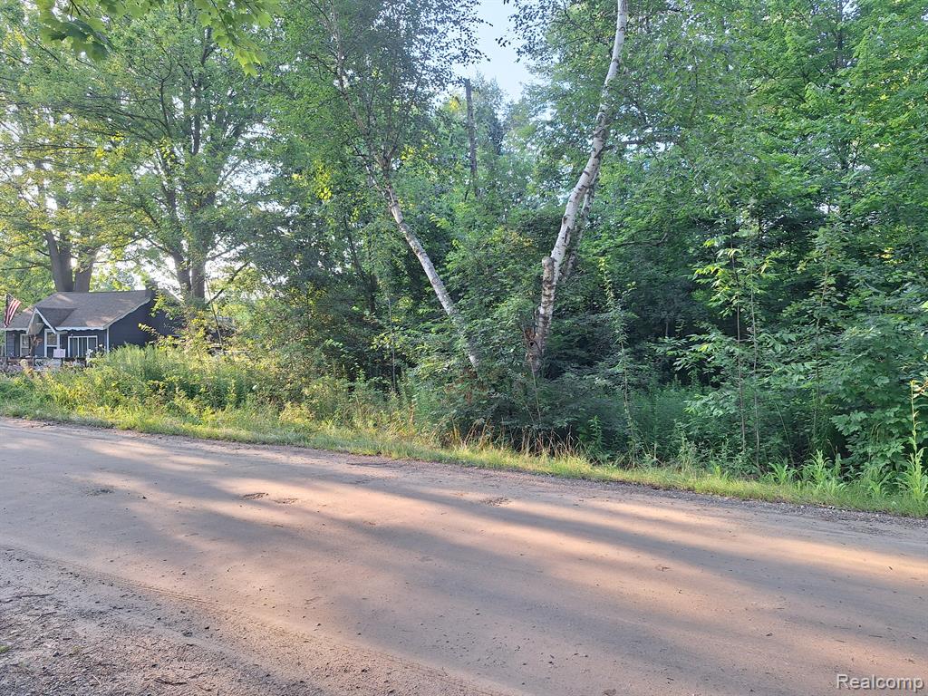 000 Birchwood Road, Lexington MI 48450 9773 photo 1