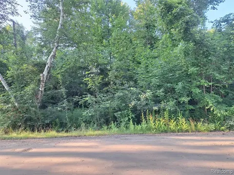 000 Birchwood Road, Lexington MI 48450 9773 photo 4