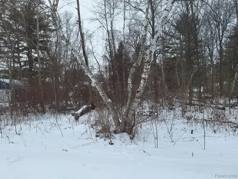 000 Birchwood Road, Lexington MI 48450 9773 photo 5