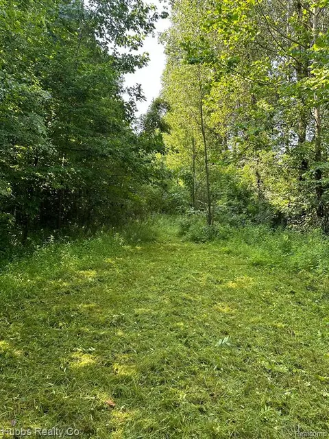 0000 Birch Run Rd., Millington MI 48746 photo 1