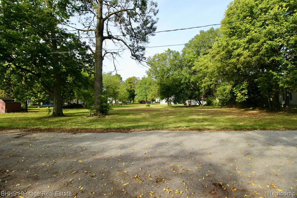 119 Andres Street, Chesaning MI 48616 photo 1