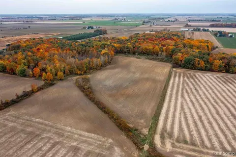 0 Wood Road, Marlette MI 48453 9586 photo 4