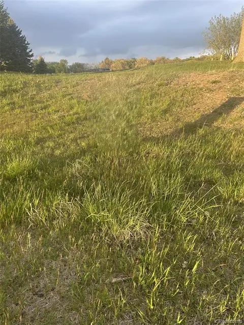 9899 Sunset Boulevard, Pigeon MI 48755 photo 5