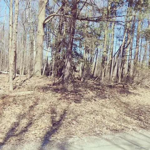 0 Schott Road, Harbor Beach MI 48441 photo 2