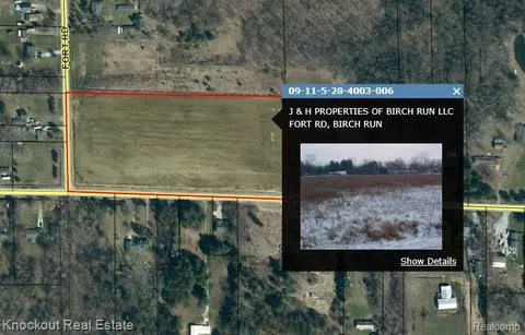 VL Fort Road, Birch Run MI 48415 photo 4