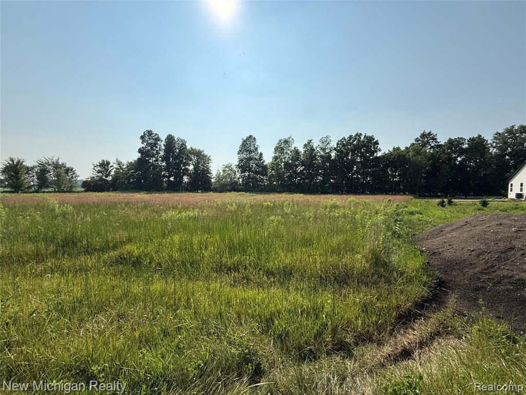 9807 Oak Ridge Road, New Lothrop MI 48460 9404 photo 1