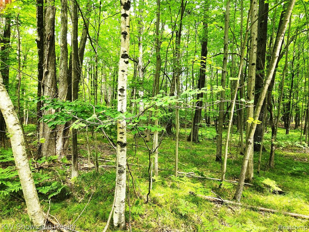 000 Red Fox Run, Farwell MI 48622 photo 1