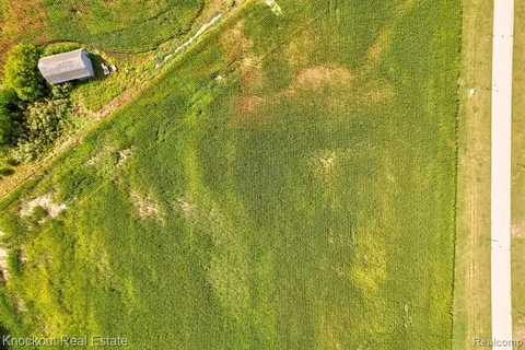 Parcel E W Rolling Hills Drive, Bridgeport MI 48722 photo 4