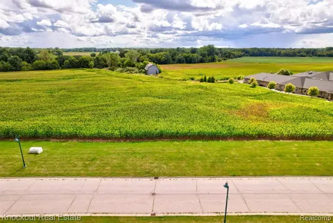 Parcel D W Rolling Hills Drive, Bridgeport MI 48722 photo 3