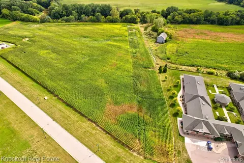 Parcel D W Rolling Hills Drive, Bridgeport MI 48722 photo 4