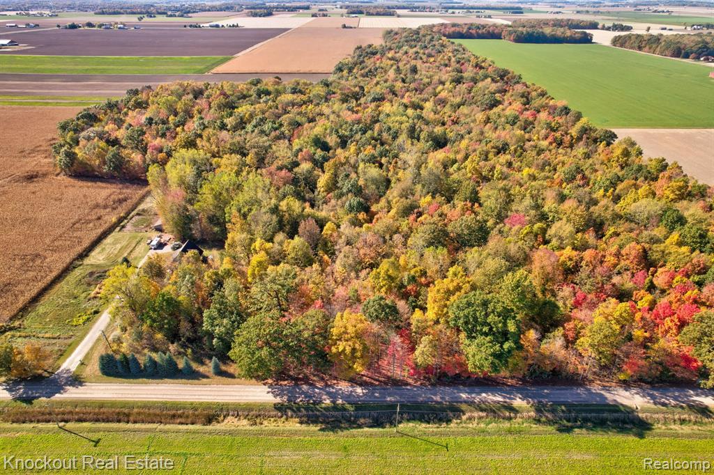 4000 S Reese Road, Frankenmuth MI 48734 9772 photo 1