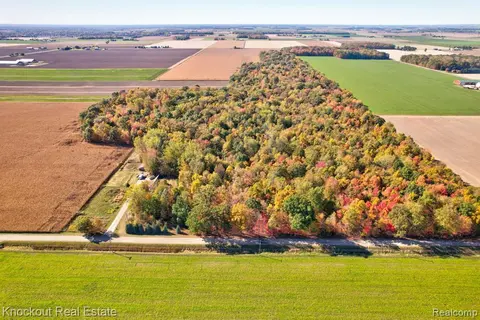 4000 S Reese Road, Frankenmuth MI 48734 9772 photo 3