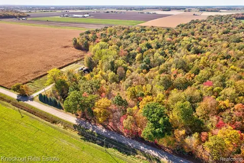 4000 S Reese Road, Frankenmuth MI 48734 9772 photo 4