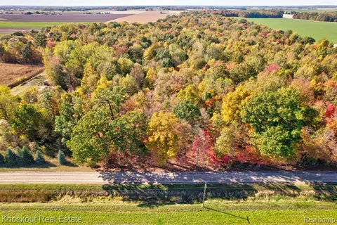 4000 S Reese Road, Frankenmuth MI 48734 9772 photo 5