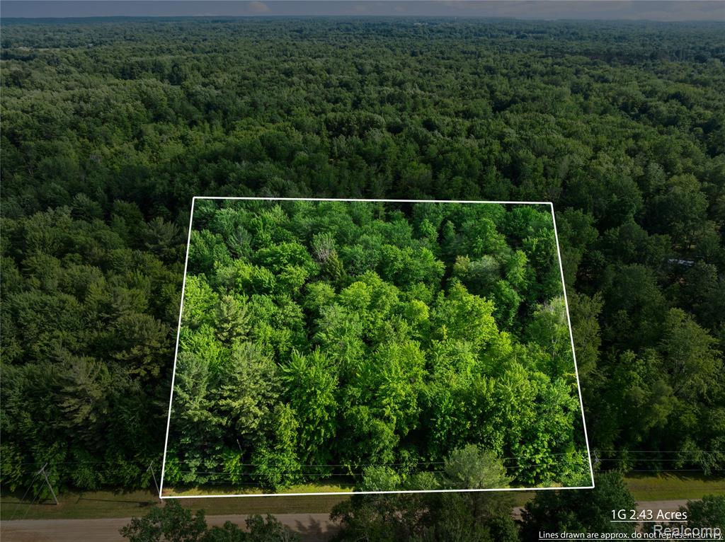 #0015 V/L Birch Lane, Vassar MI 48768 photo 1