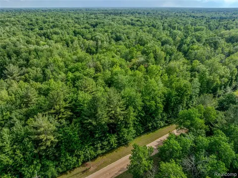 #0015 V/L Birch Lane, Vassar MI 48768 photo 3