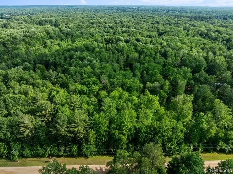 #0015 V/L Birch Lane, Vassar MI 48768 photo 4