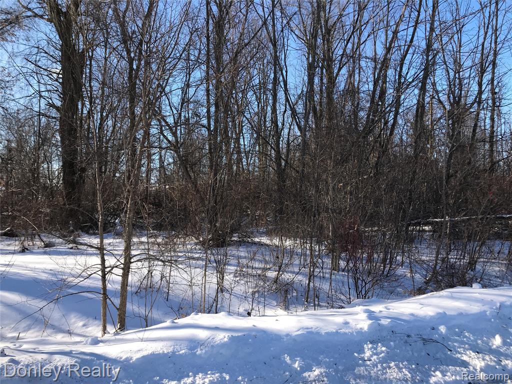 20 Vacant Lots Concord, Cranbrook & Tulane, Marlette MI 48453 photo 1