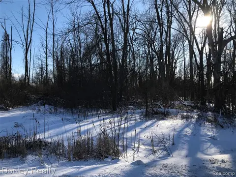 20 Vacant Lots Concord, Cranbrook & Tulane, Marlette MI 48453 photo 2