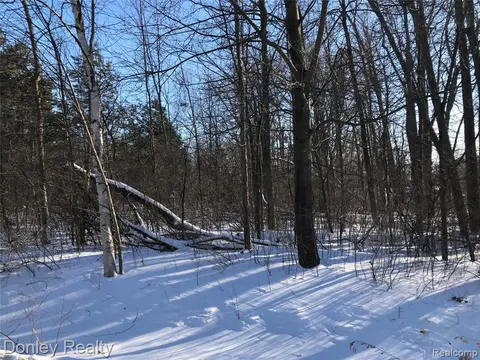 20 Vacant Lots Concord, Cranbrook & Tulane, Marlette MI 48453 photo 3