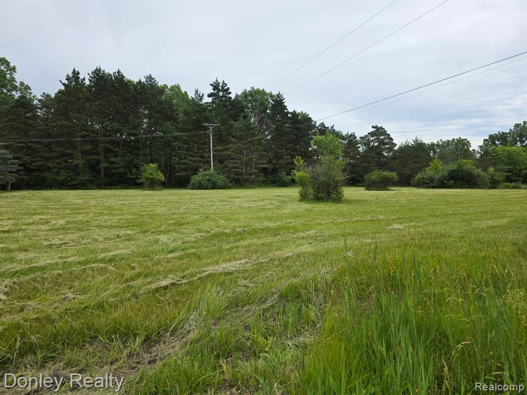 V/L Lorraine Street Street, Marlette MI 48453 photo 1