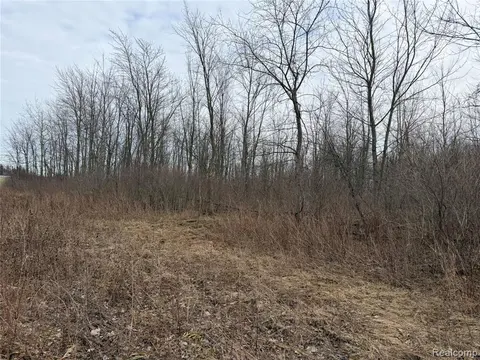 3155 Peck Road, Brown City MI 48416 8986 photo 4