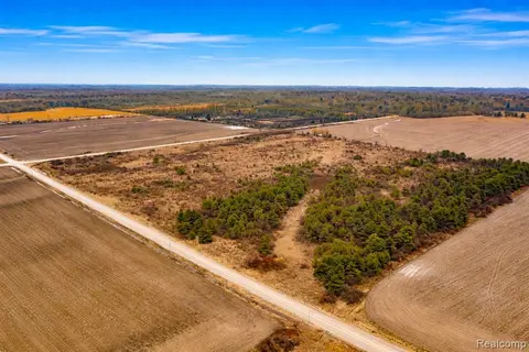 Vacant Land Custer Road, Carsonville MI 48419 photo 4