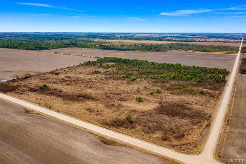 Vacant Land Custer Road, Carsonville MI 48419 photo 5