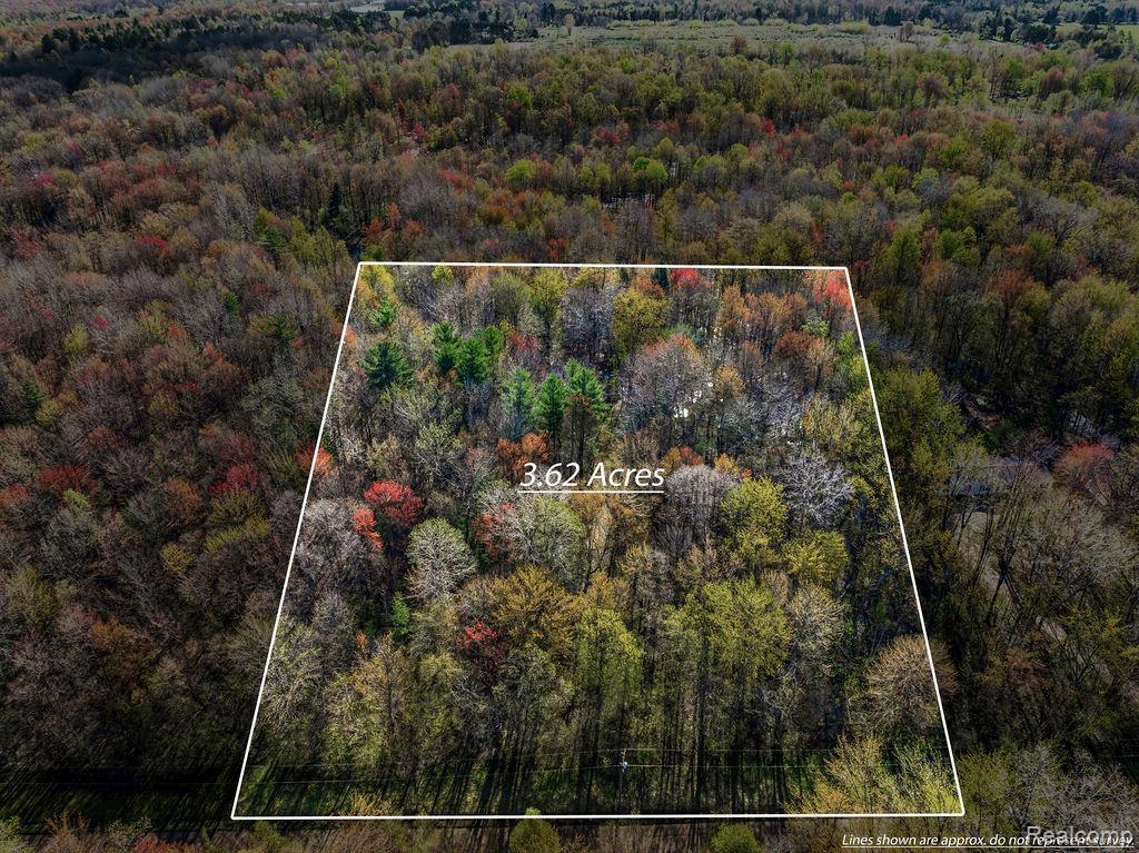 6799 Maplegrove Road, Vassar MI 48768 9107 photo 1